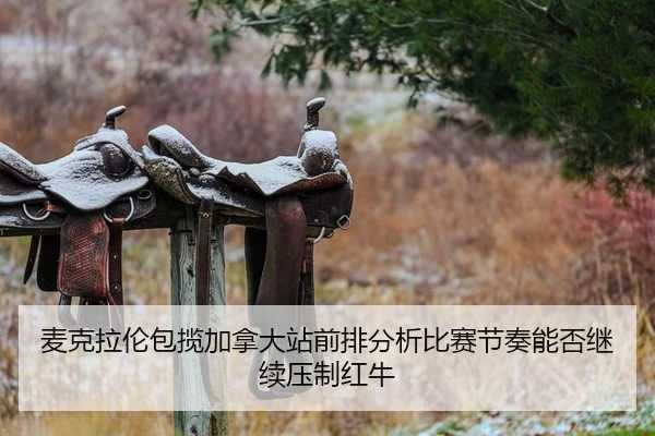 mai-ke-la-lun-bao-lan-jia-na-da-zhan-qian-pai-fen-xi-bi-sai-jie-zou-neng-fou-ji-xu-ya-zhi-hong-niu-2-269.jpg