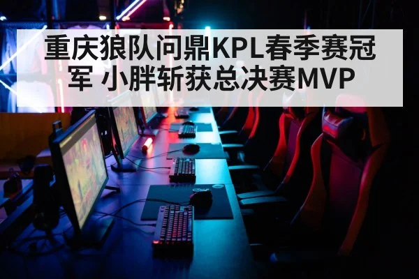 重庆狼队问鼎KPL春季赛冠军 小胖斩获总决赛MVP